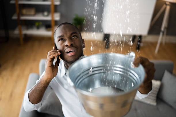 Best Flood damage cleanup  in Cienega Springs, AZ