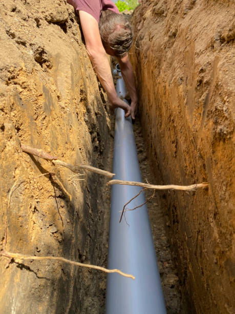 Best Flood damage cleanup  in Cienega Springs, AZ