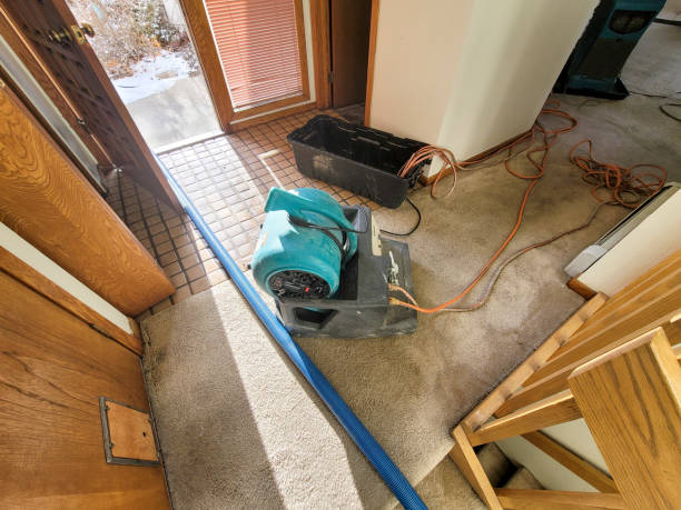 Best Fire Damage Restoration  in Cienega Springs, AZ