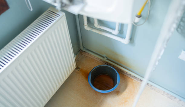 Best Water damage restoration experts  in Cienega Springs, AZ