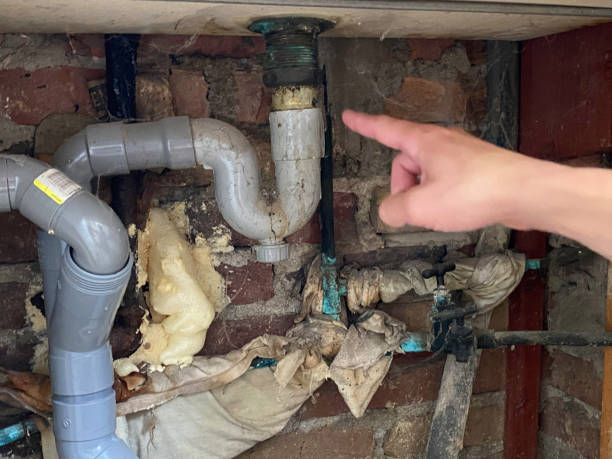 Best Commercial water damage restoration  in Cienega Springs, AZ