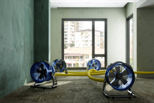 Reliable AZ Water damage restoration Solutions